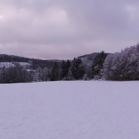 Le Willou Chalet Stavelot